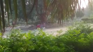 Hardcore fuck in delhi public park,tight pussy penetration